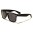 Classic Unisex Sunglasses In Bulk WF01BLK